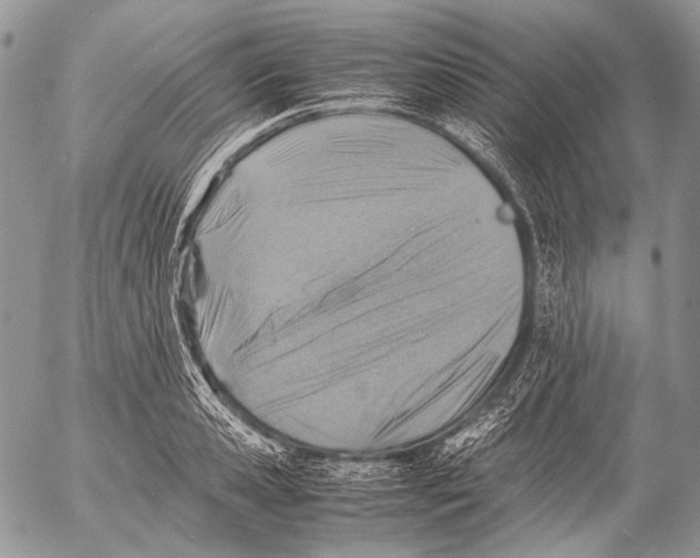 X0000053050941200508081125