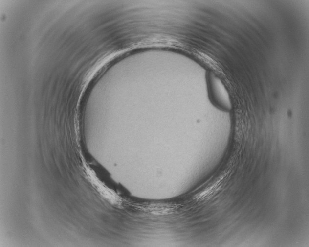 X0000053050942200508081125