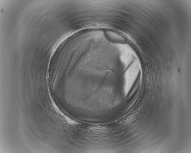 X0000053050943200508081125