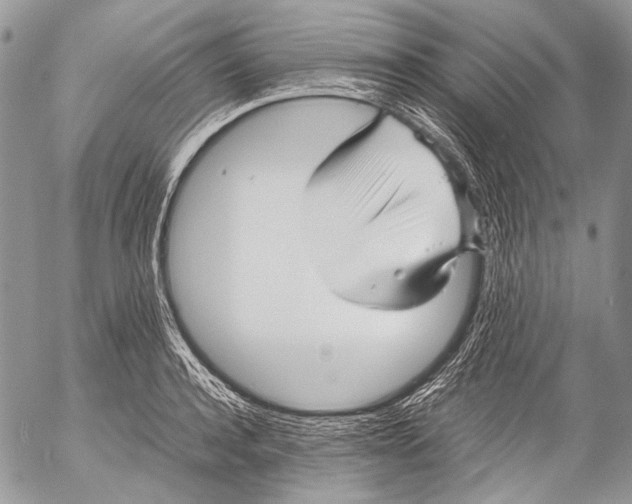 X0000053050944200508081125