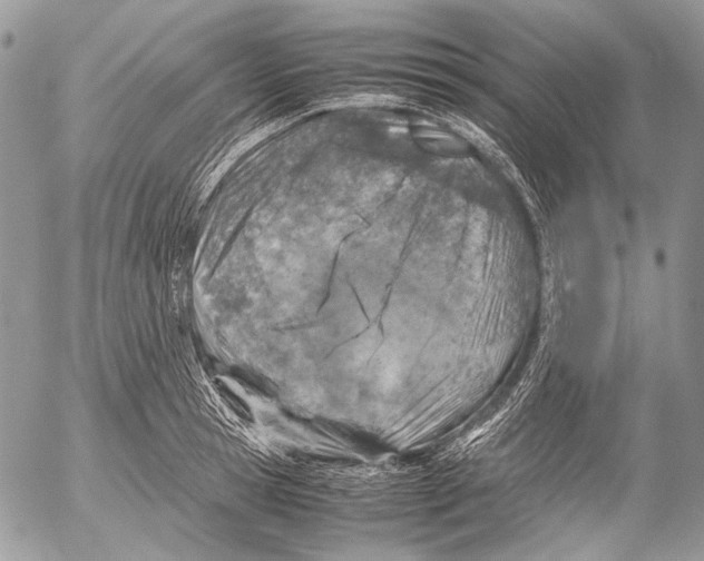 X0000053050945200508081125