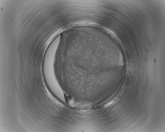 X0000053050946200508081125