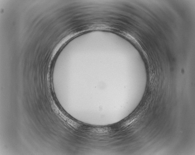 X0000053050947200508081125