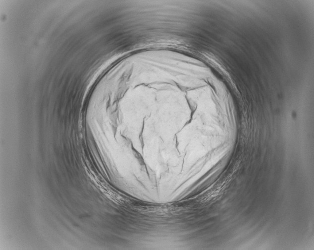 X0000053050948200508081125