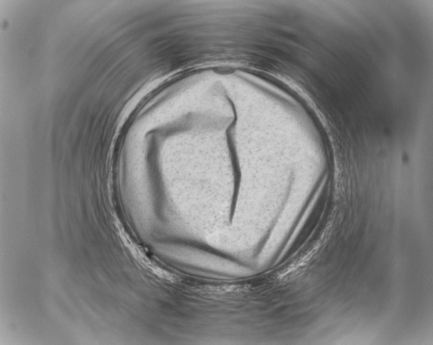 X0000053050949200508081125