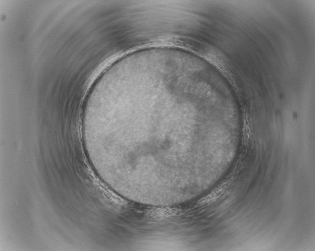 X0000053050950200508081125