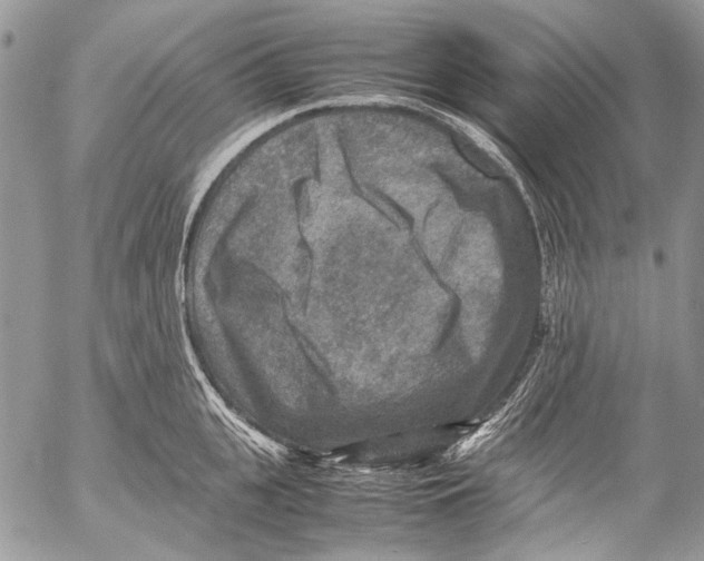 X0000053050951200508081125