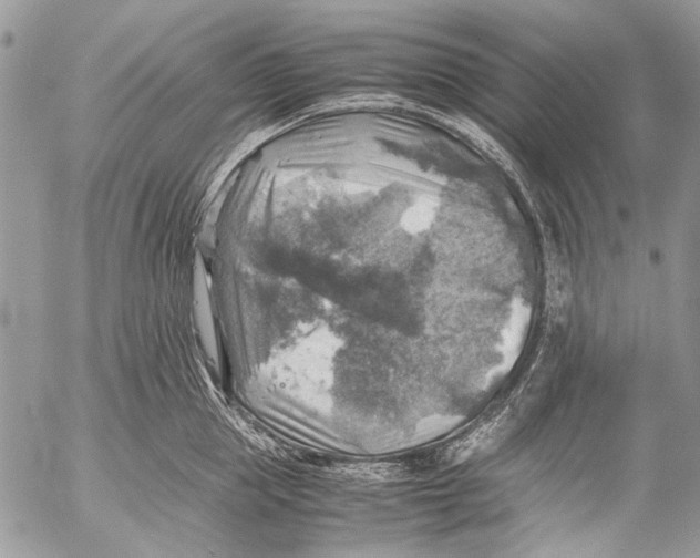 X0000053050953200508081125