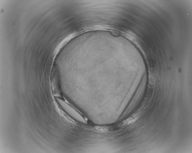 X0000053050954200508081125