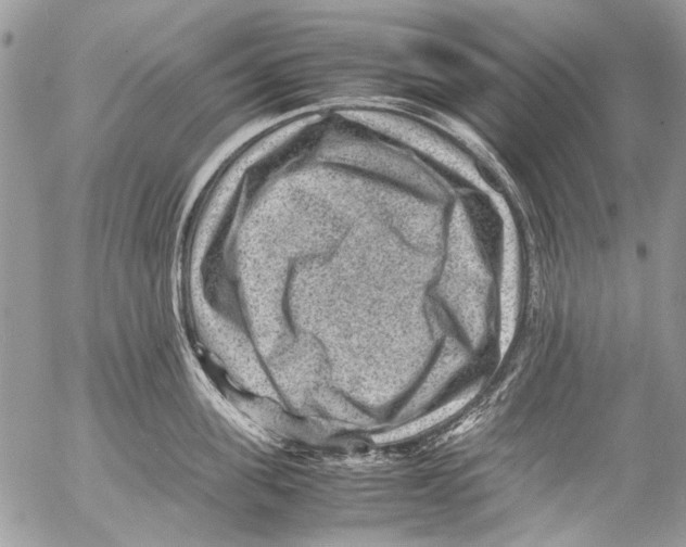 X0000053050955200508081125