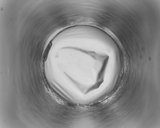 X0000053050956200508081125