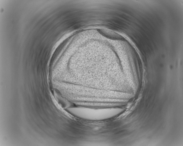 X0000053050957200508081125