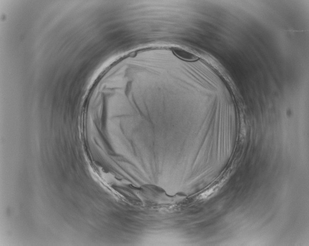 X0000053050958200508081125