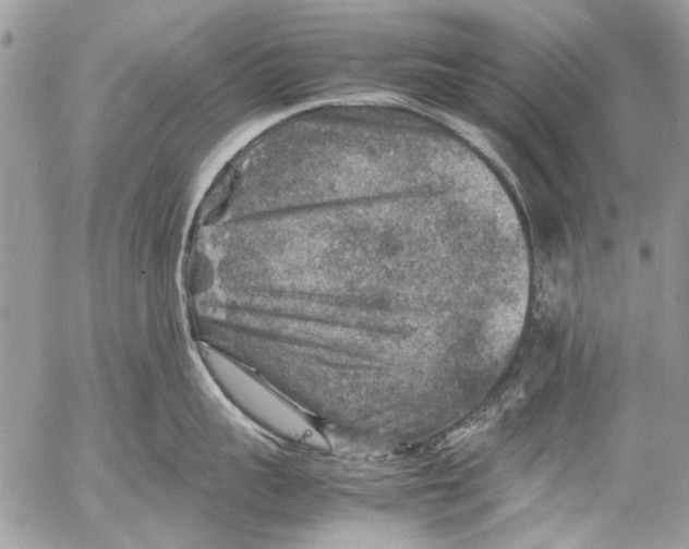 X0000053050959200508081125