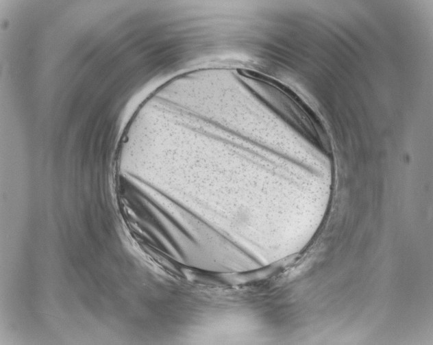 X0000053050960200508081125