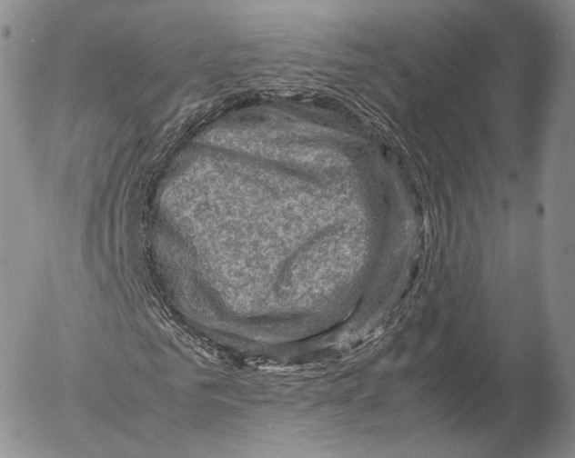 X0000053050961200508081124