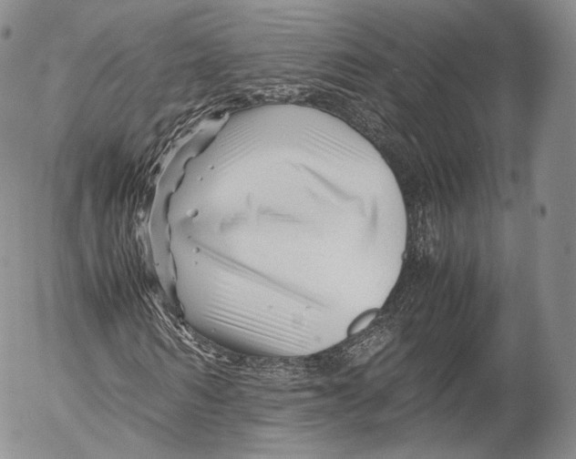 X0000053050962200508081124