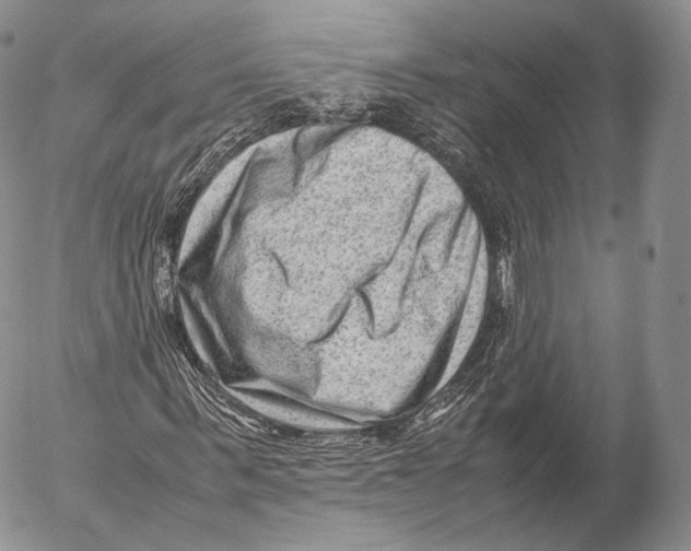 X0000053050963200508081124