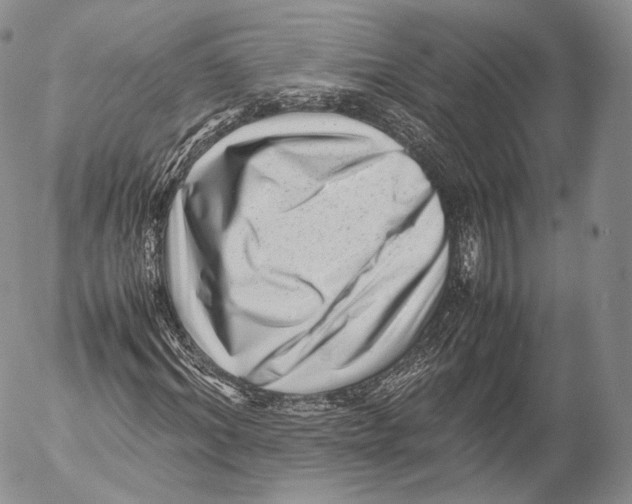 X0000053050964200508081124