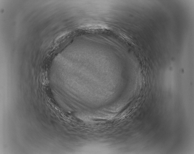 X0000053050965200508081124