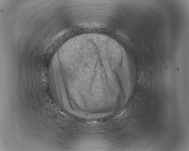 X0000053050966200508081124