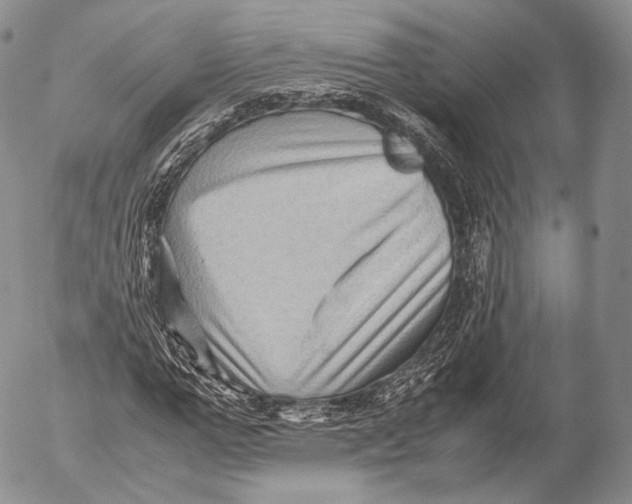 X0000053050967200508081124