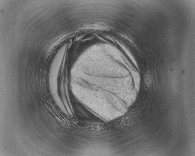 X0000053050968200508081124