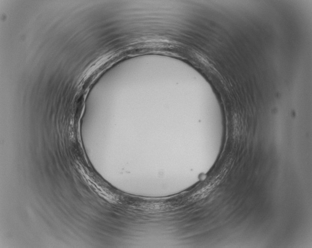 X0000053050970200508081124