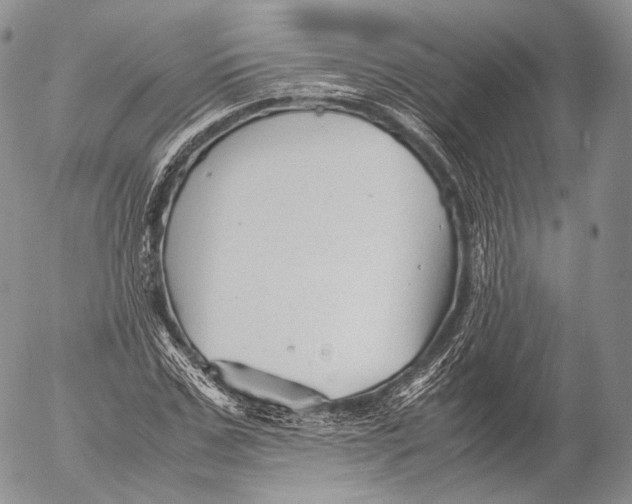 X0000053050971200508081124