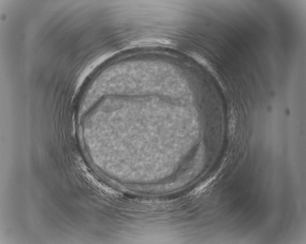 X0000053050973200508081124