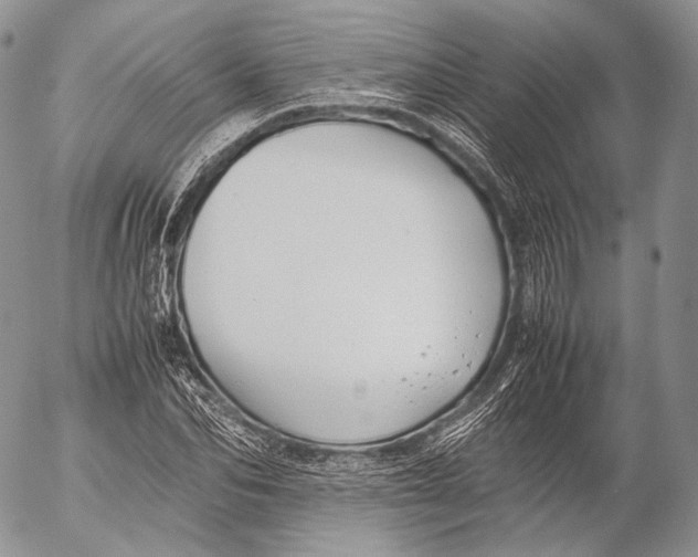 X0000053050974200508081124