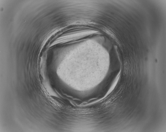 X0000053050976200508081124