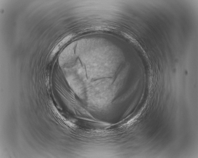 X0000053050977200508081124