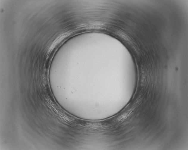 X0000053050978200508081124