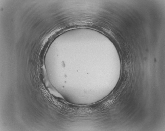 X0000053050979200508081124