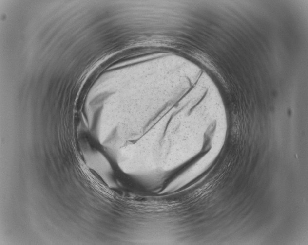 X0000053050980200508081124