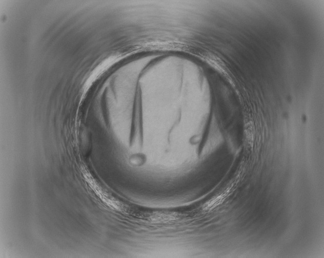 X0000053050981200508081124