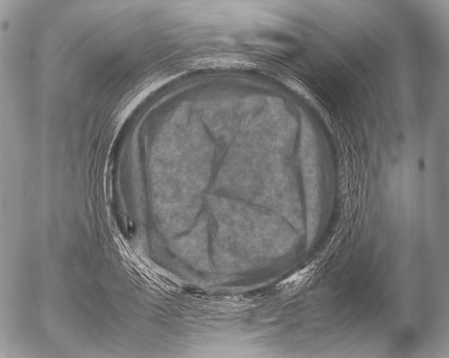 X0000053050983200508081124