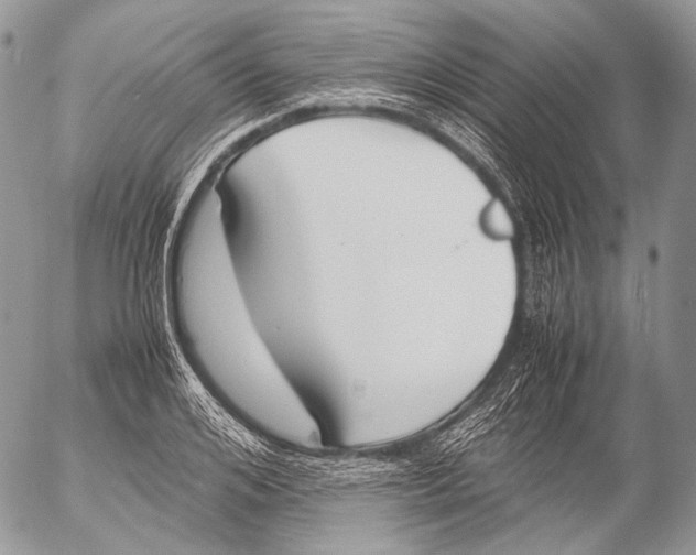 X0000053050984200508081124