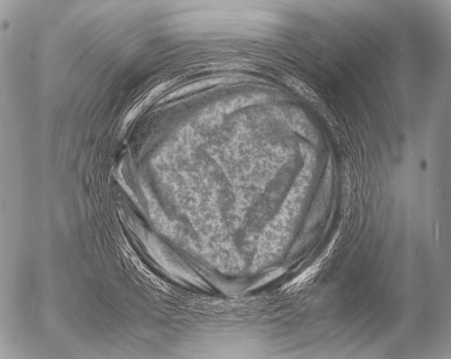 X0000053050985200508081124