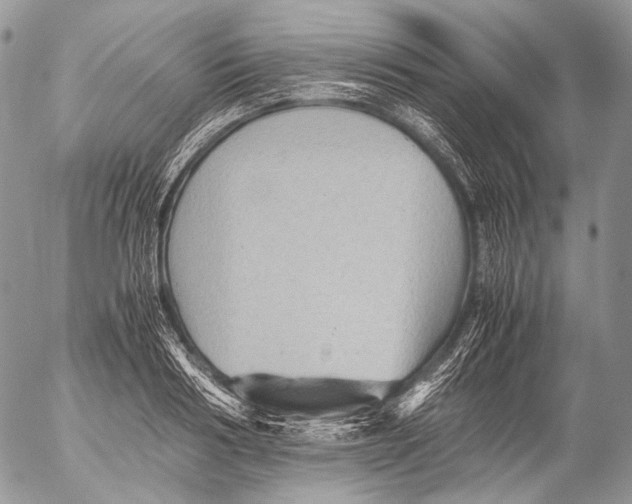 X0000053050986200508081124