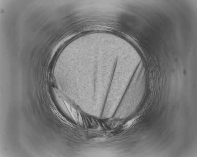 X0000053050987200508081124