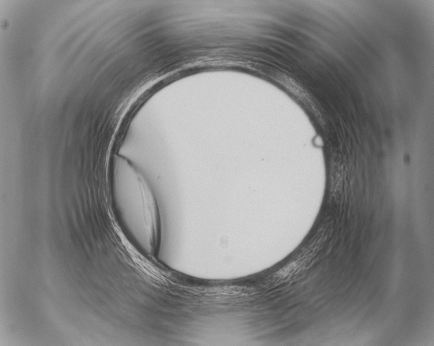 X0000053050988200508081124