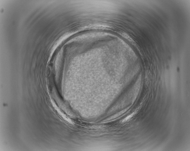 X0000053050989200508081124