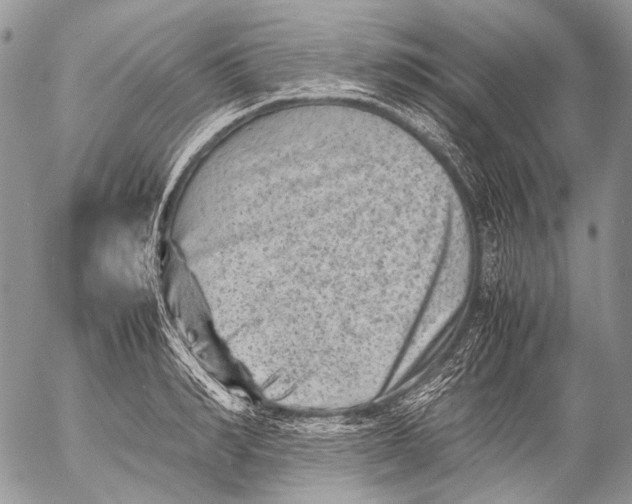 X0000053050990200508081124