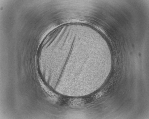 X0000053050991200508081124