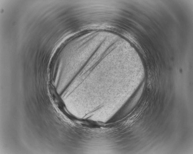 X0000053050992200508081124