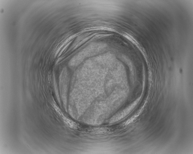 X0000053050993200508081124