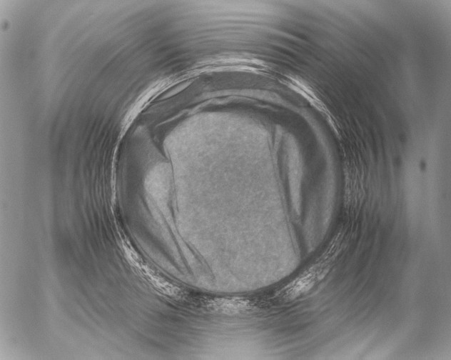 X0000053050994200508081124