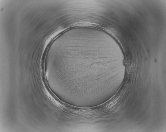 X0000053050995200508081124